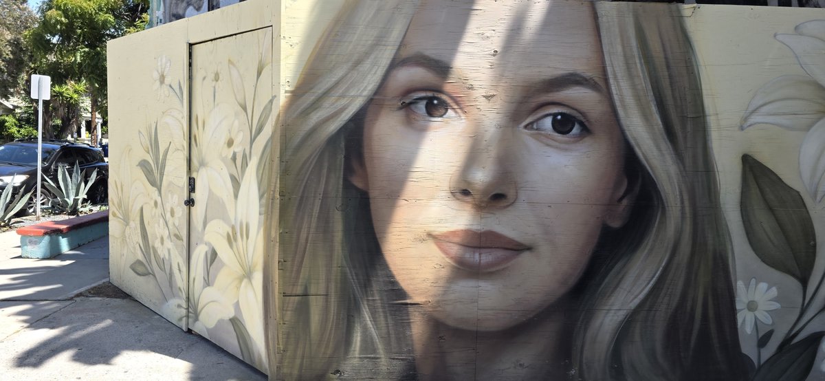 WCoast_'s tweet photo. Iryna Zarutska mural in Venice, CA https://t.co/JLFqgH21uf