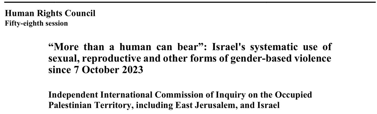 <a href="/samanthaettus/">Samantha Ettus</a> You mean because of claims about Israeli sexual violence?
Like in this UN report?