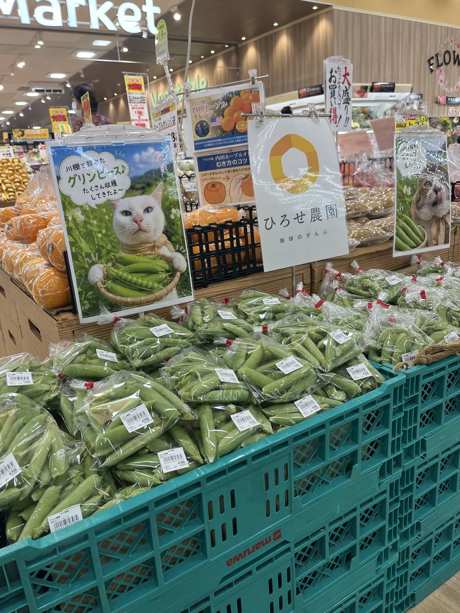 廣瀬 達也-ひろせ農園- tweet media
