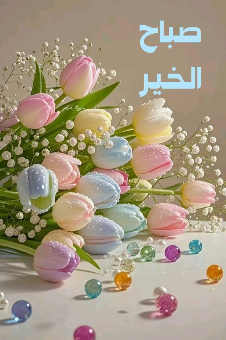 Mohammad12_1992's tweet photo. @dalalkoussaifi https://t.co/csv553NAyj