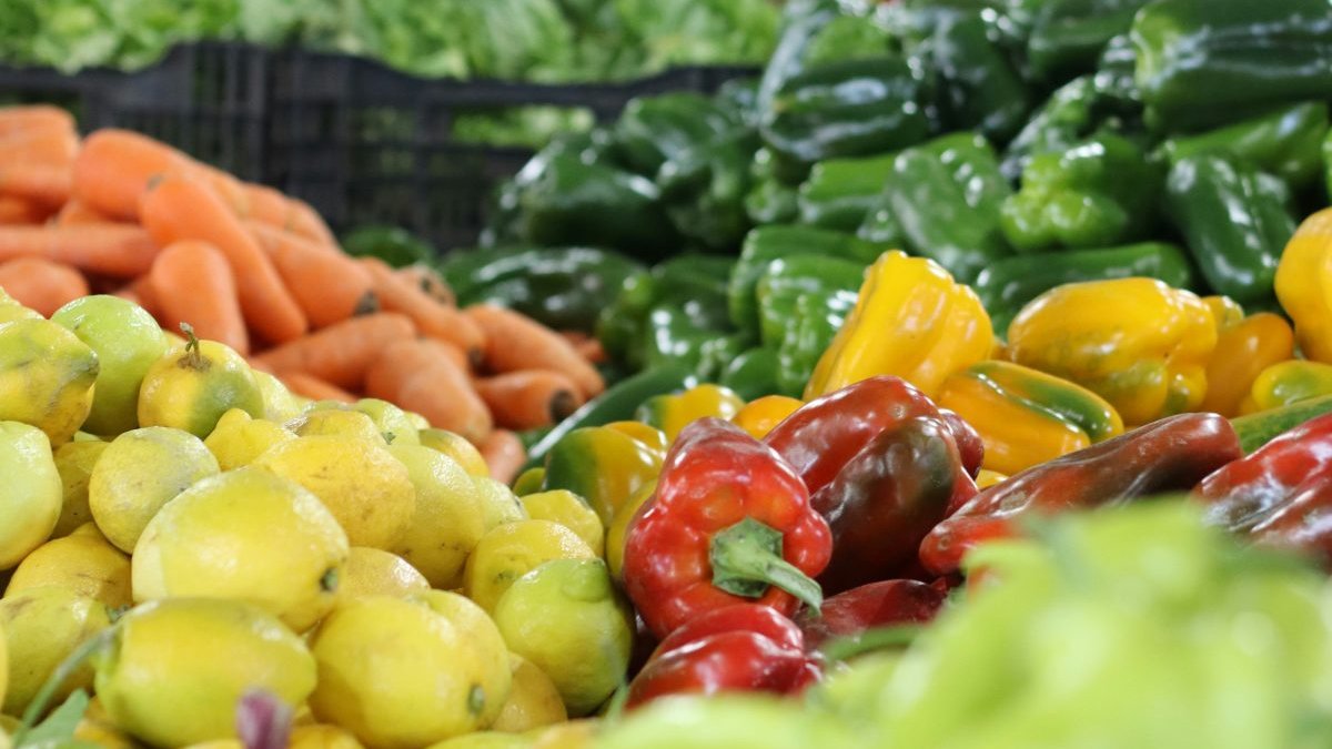 intesasanpaolo's tweet photo. 🔎 🫒Nel 2025 l’agroalimentare italiano ha visto crescere l’export del 5,2% a quota €70,9 mld: il risultato è positivo, ma si colloca in uno scenario caratterizzato da elevata incertezza su politiche economiche e volatilità dei costi energetici.
📌https://t.co/7FJuc6RWax https://t.co/eC7VUUqFk8