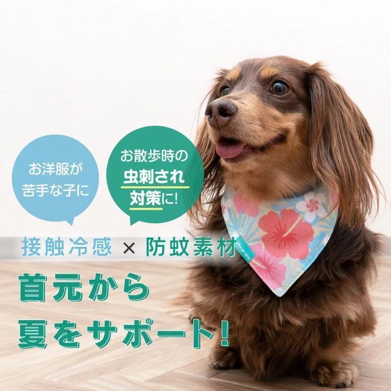 犬服