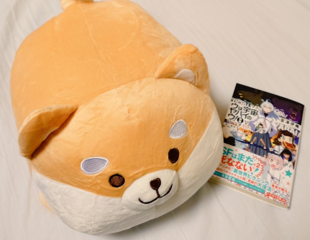 のらん noran_jp tweet media