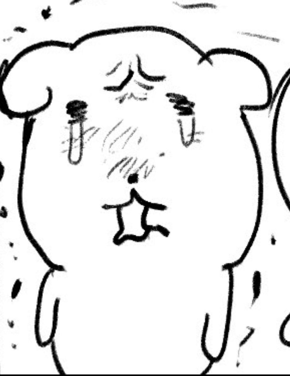 이러고우는중
