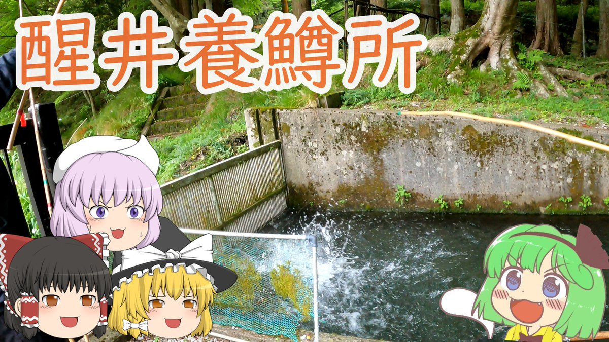 midorimyon's tweet photo. 新作です。この前のGWにマス釣りに行った時の動画になります。どっちかと言うと今回は観光要素が強いですね
https://t.co/Ko41roU47q https://t.co/Td7qucH1fK