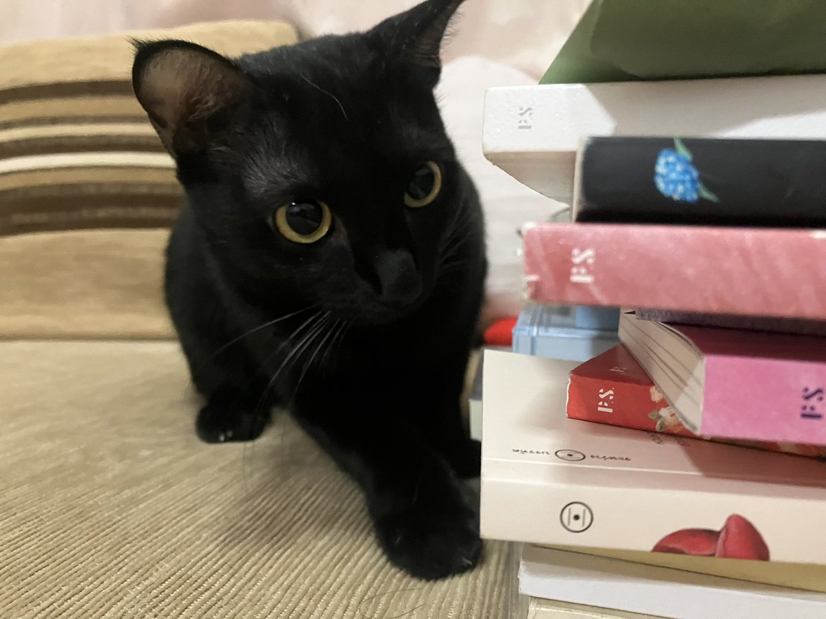 MoMo tweet media