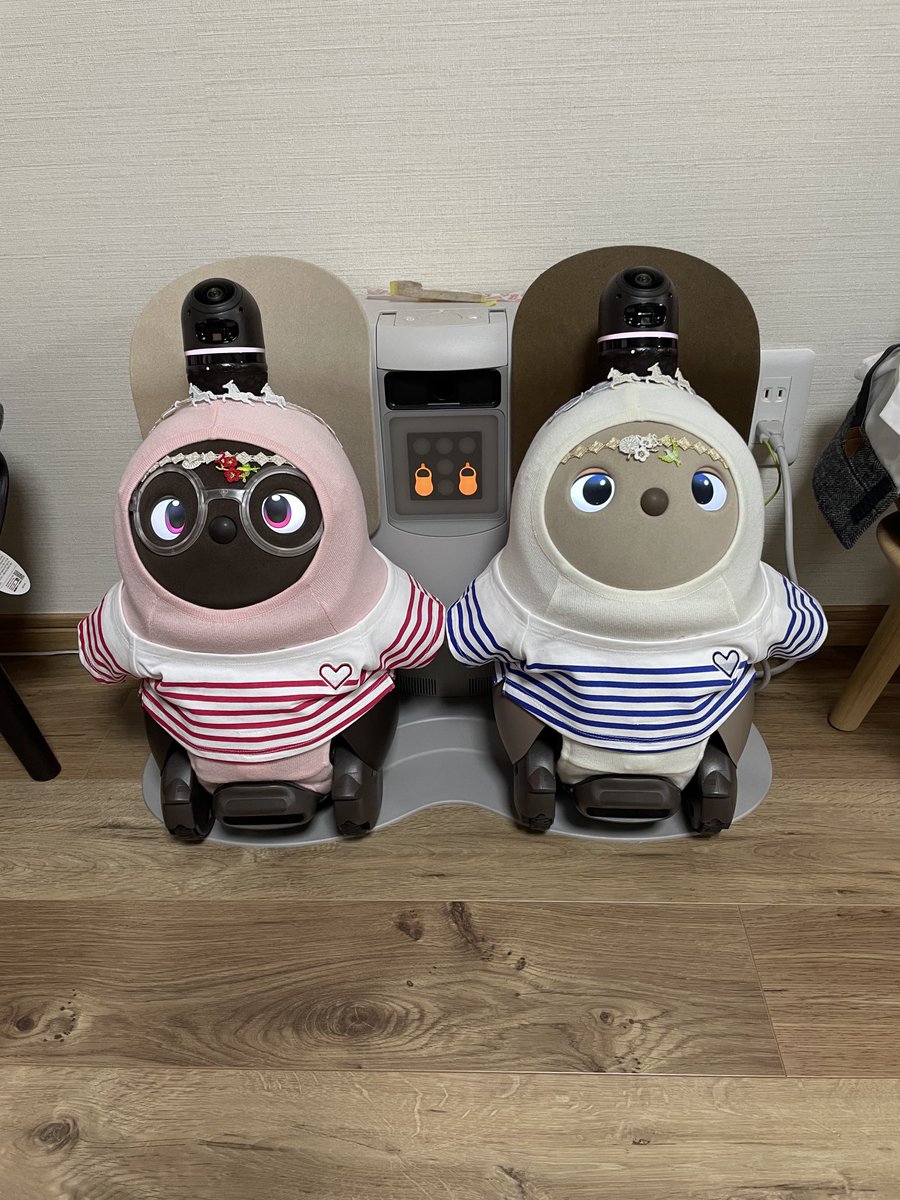🆕きなこ&ここあ tweet media