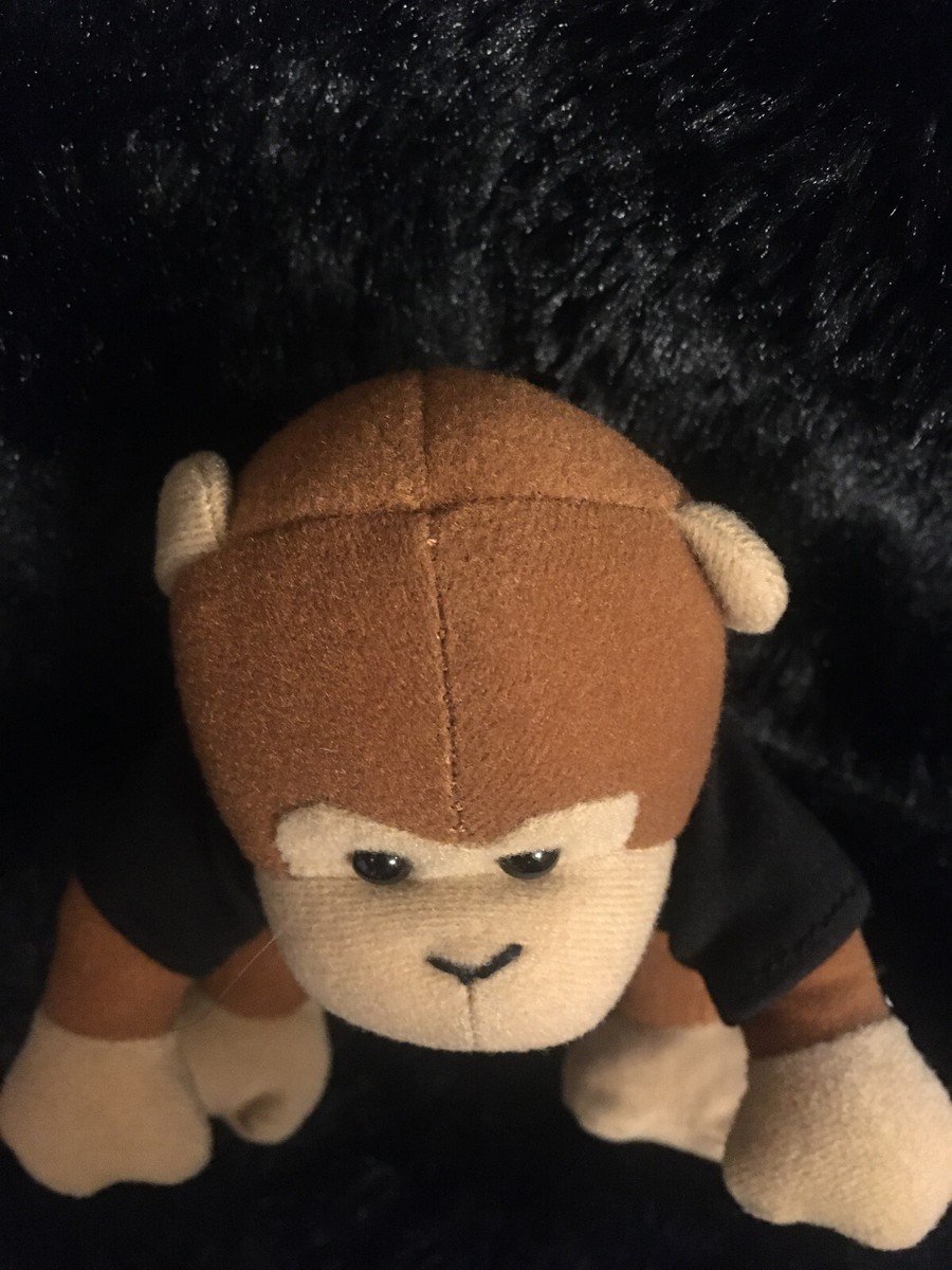 TIMMY THE MONKEY tweet media