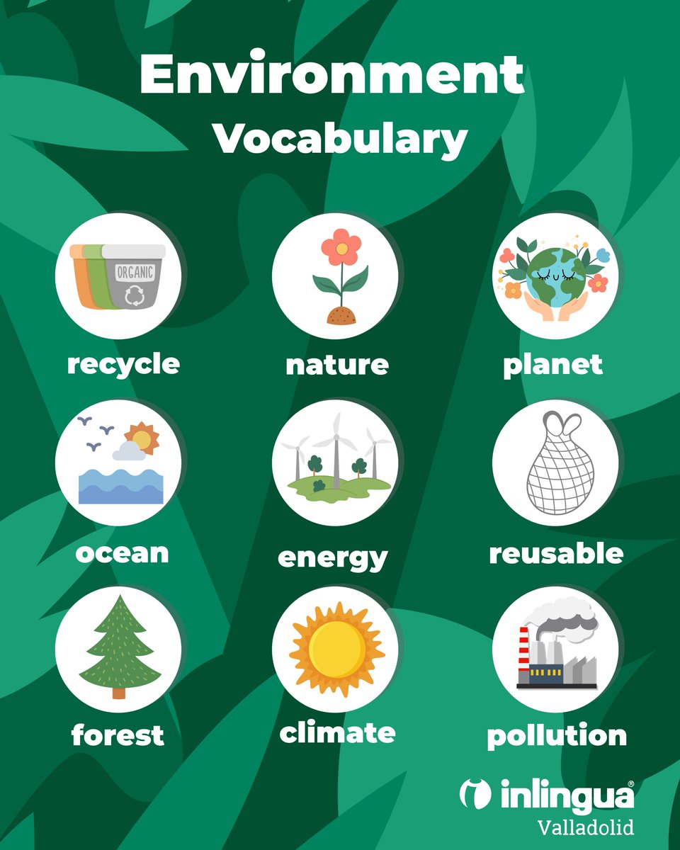 atlantisfor's tweet photo. 🌍 Environment Vocabulary ♻️

Pequeñas palabras que nos ayudan a hablar de algo muy grande: cuidar el planeta 💙

Aprender un idioma también es aprender a comunicar temas importantes como la sostenibilidad, el medio ambiente y el futuro que queremos construir. https://t.co/1edmuBDAom