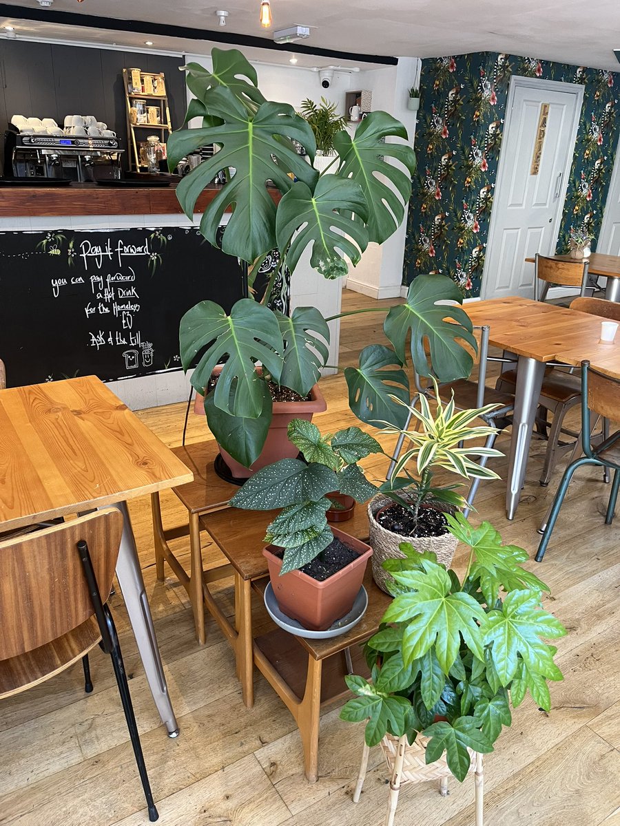 Paper Cup Coffee Liverpool tweet media