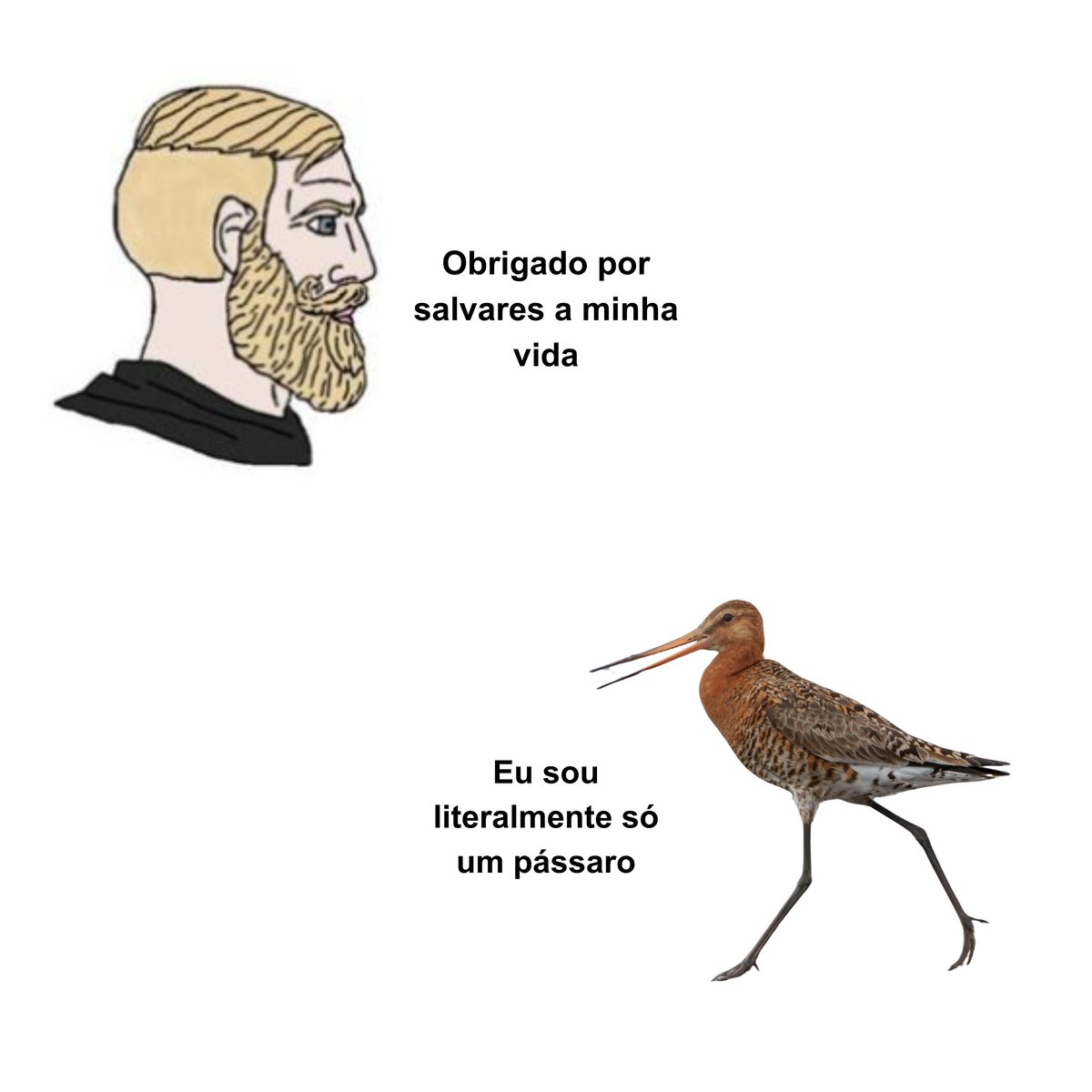 WWF_Portugal's tweet photo. As leis que protegem a natureza estão em risco e não podemos deixar que sejam enfraquecidas!

Assina a petição #HandsOffNature em https://t.co/EgZ3ZQwflY https://t.co/LRce3CC8IU