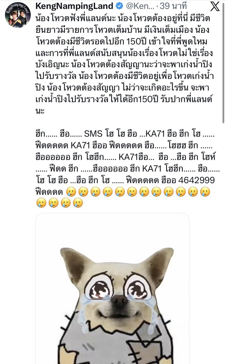 เอ็นเอ็น ₍^. .^₎⟆ tweet media