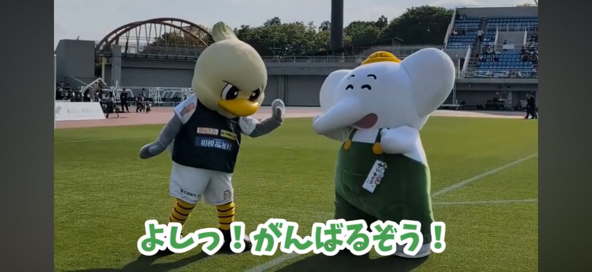 TEAMasahi21's tweet photo. ガミティフェスでの
ぼくのおしごとのようすをYouTubeでも公開してるぞう🐘📸
見てくれたらうれしいぞう🥳
「【LISEMとFK対決?!】SC相模原のガミティフェス2026でやるぞうくんが大活躍!」
https://t.co/Iq0KFWEWRE
#YouTube #やるぞうくん #SC相模原 #ガミティ #ガミティフェス #LISEM https://t.co/Zkn14tJ8cm