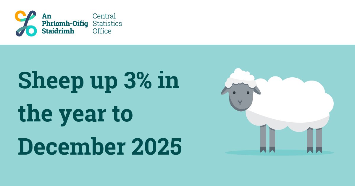 Central Statistics Office Ireland tweet media