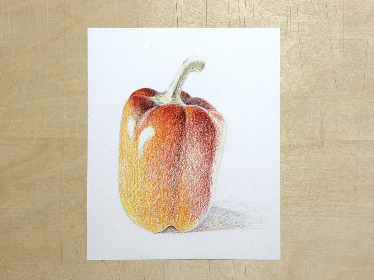 パプリカを描いています 色鉛筆楽しい！