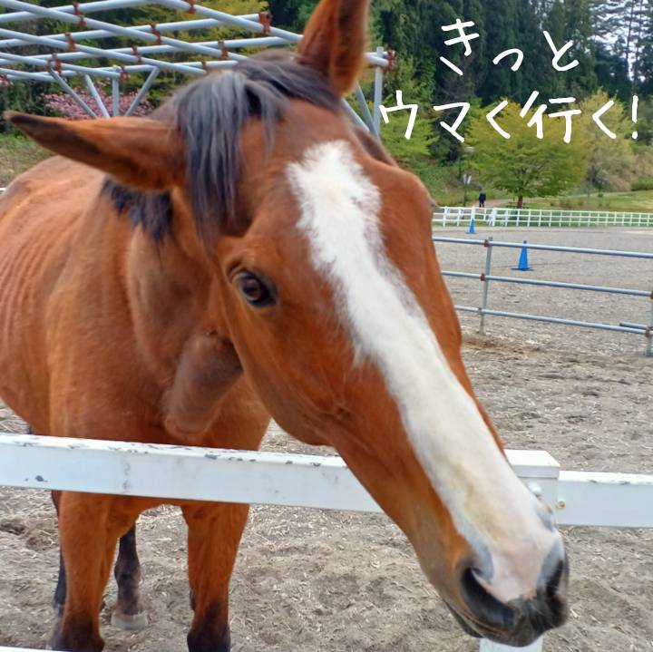 占い師 黄鈴 🍏デビュー10周年✨️ tweet media