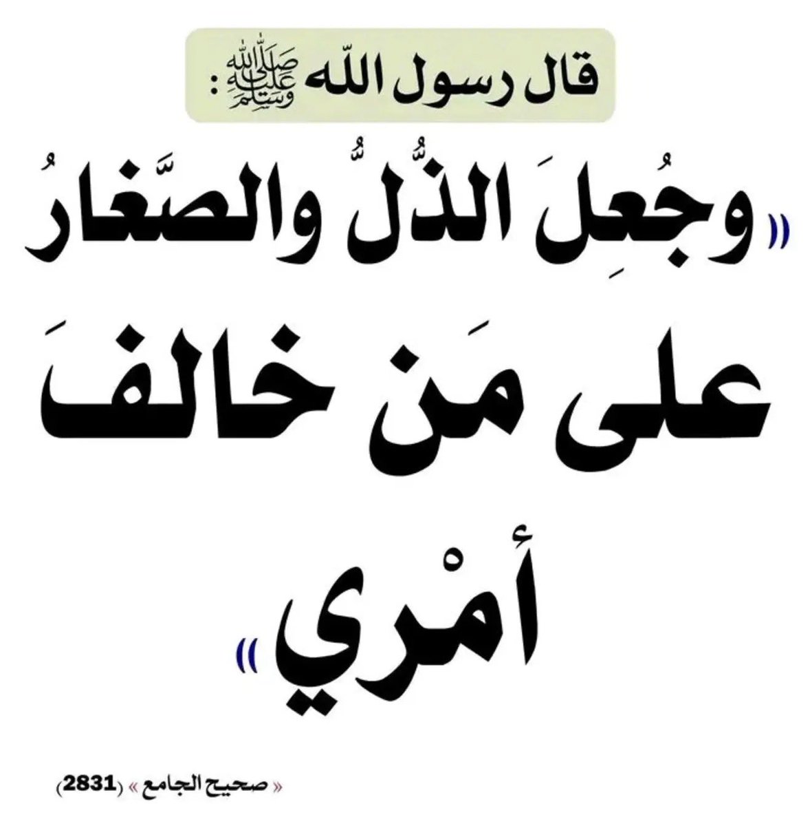 آلان شعبان tweet media