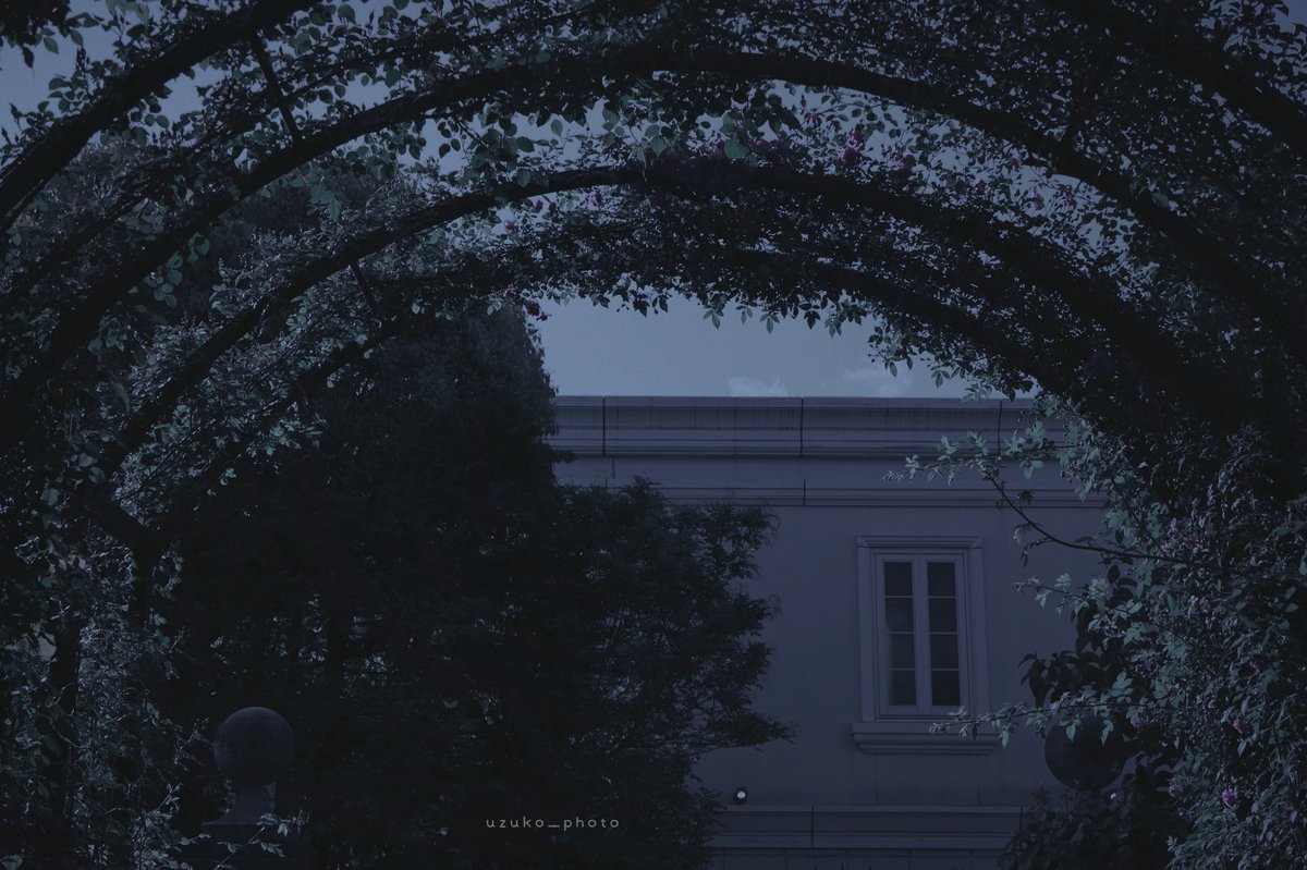 うずこ/𝚄𝚣𝚞𝚔𝚘 tweet media