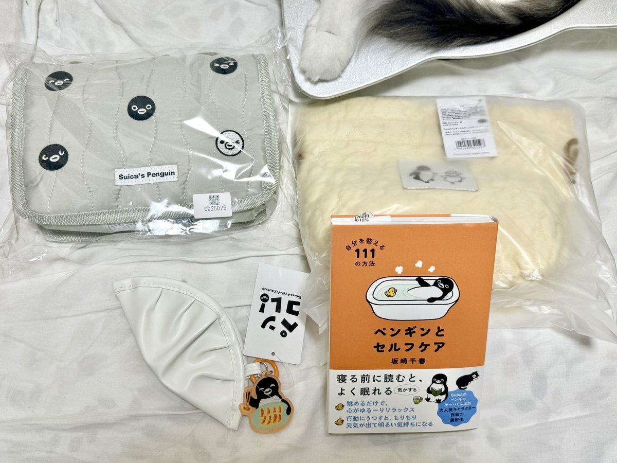 ペンギングッズを通販でお迎えしました︎︎︎☺︎ 餃子のポーチ、意味