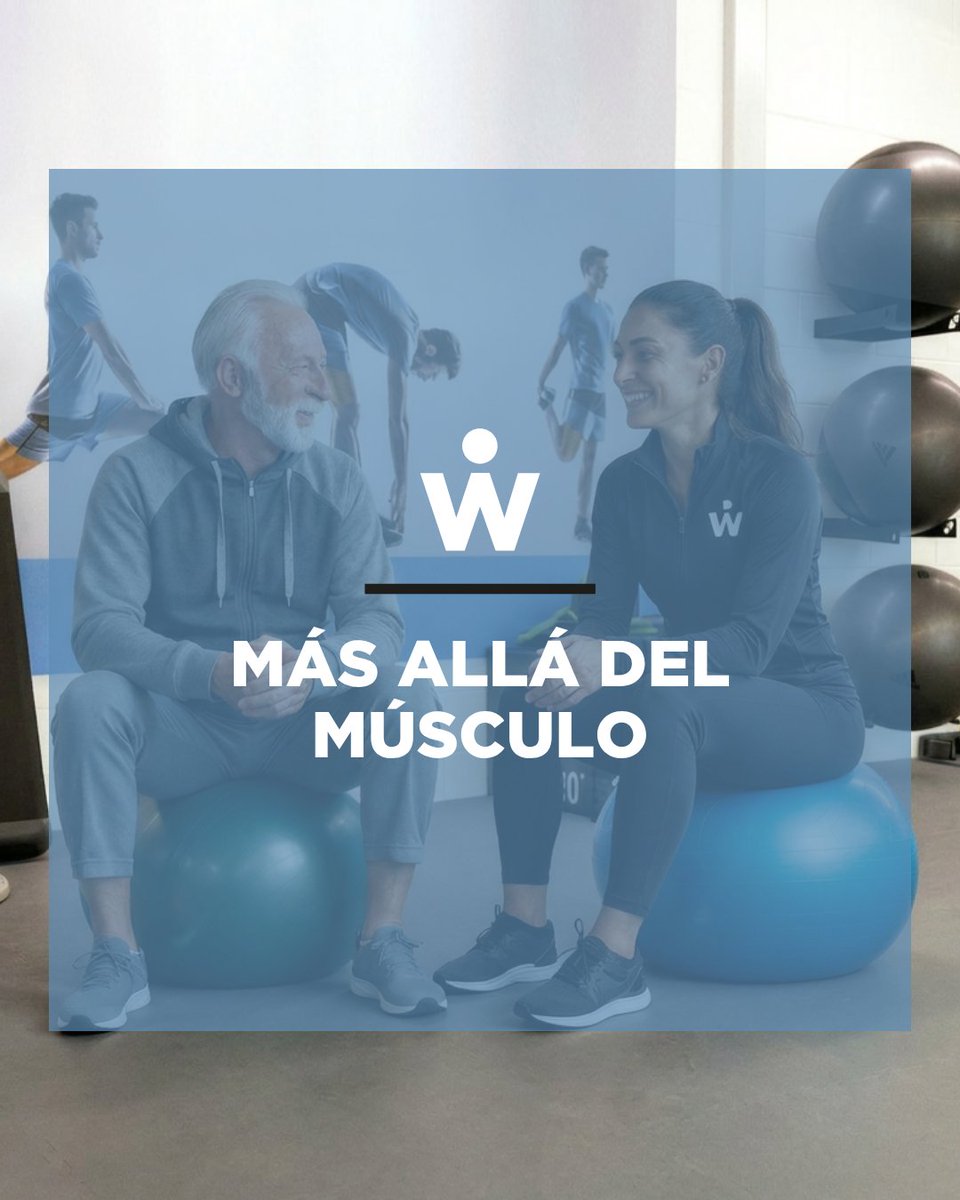 Wunder Training tweet media