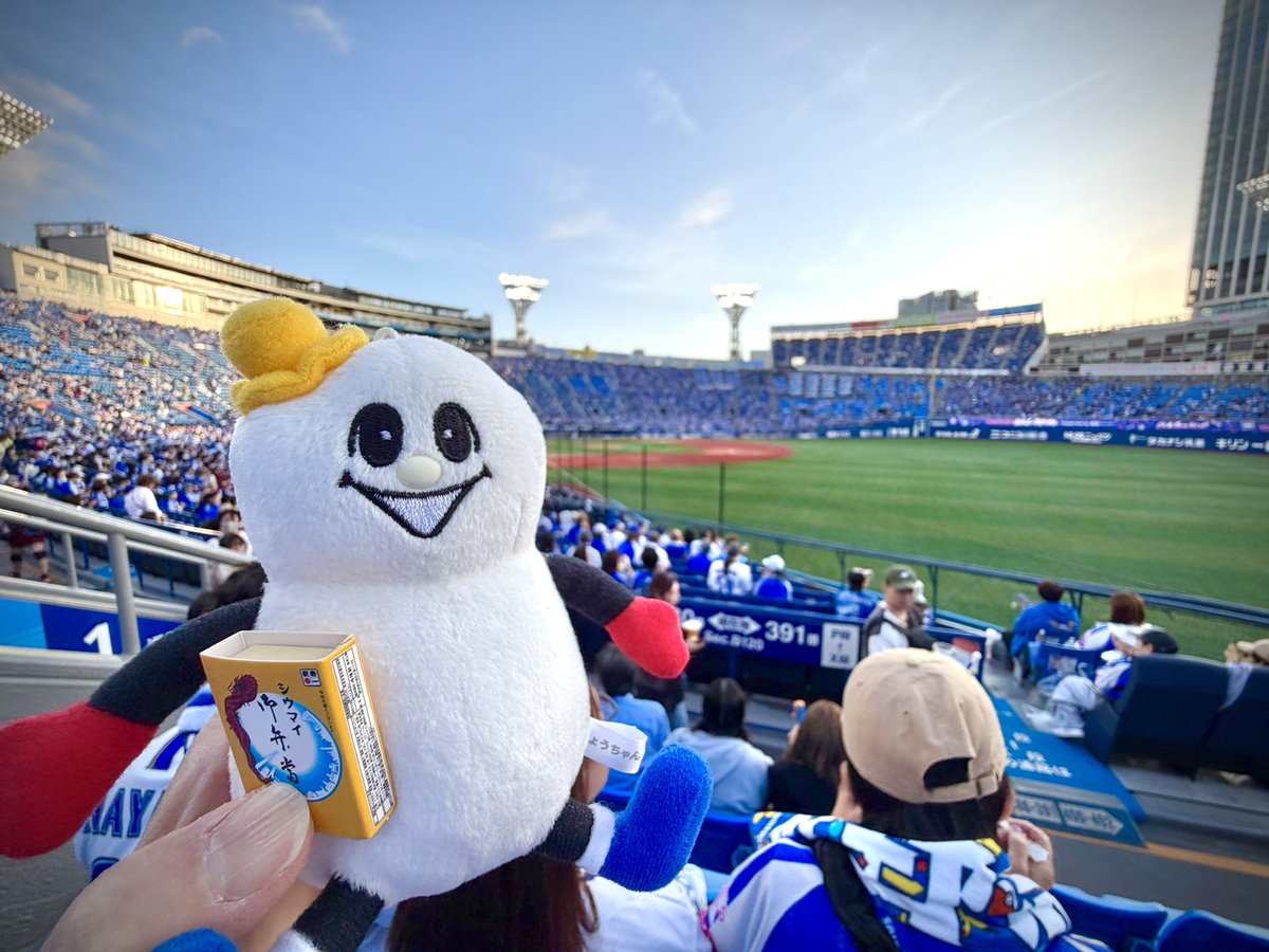 今日は #崎陽軒 でお馴染みのひょうちゃんを連れてきました！🥜そして