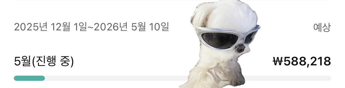 윤쓰 tweet media