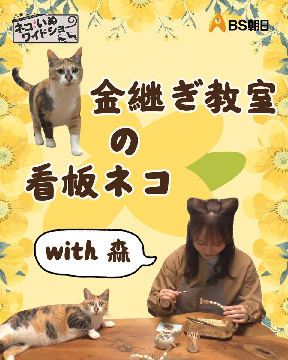 MC森千晴が、京都・嵐山で話題の看板ネコを訪ねる旅へ🌸 割れた陶器を