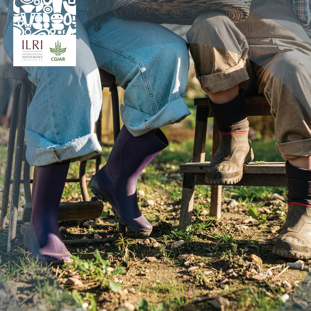 ILRI.org tweet media