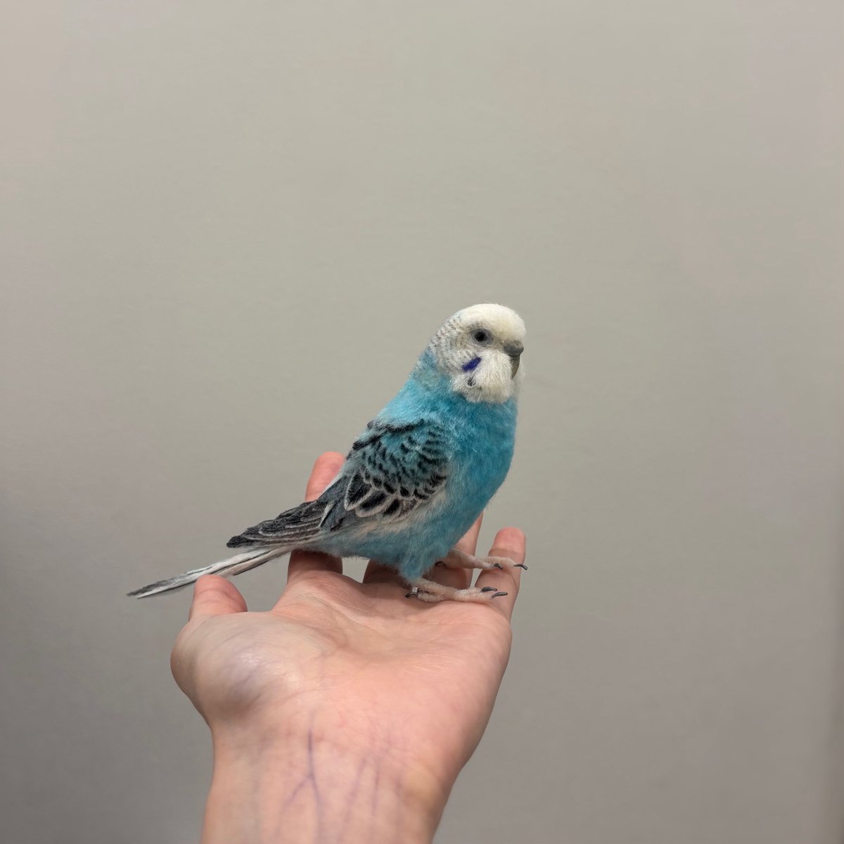羊毛フェルトのセキセイインコ完成しました。