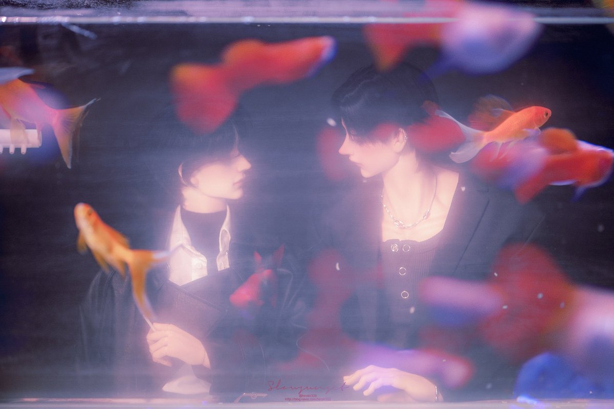✦𝐑𝐎𝐊𝐈✦ tweet media