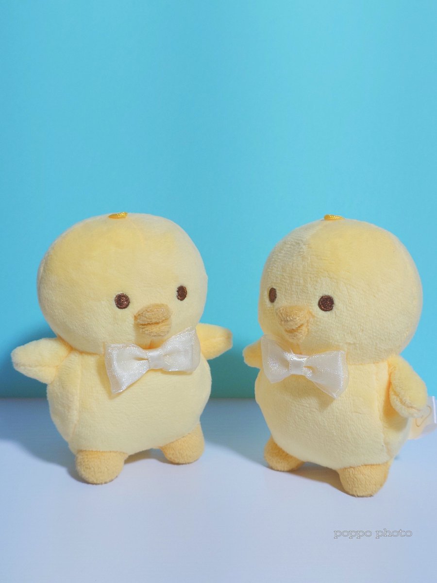 piyoco_diary's tweet photo. 🐥🐥
ぴよぴよぴよ♪
みんな おはよ。
ぴよ、起きたよ。
お着がえしたよ。
どこが変わったか、わかる?
ヒント?
ヒントはねぇ。
えーっと。えーっと。
#LittleStory #Kawaii https://t.co/Rrxdtu6cAK
