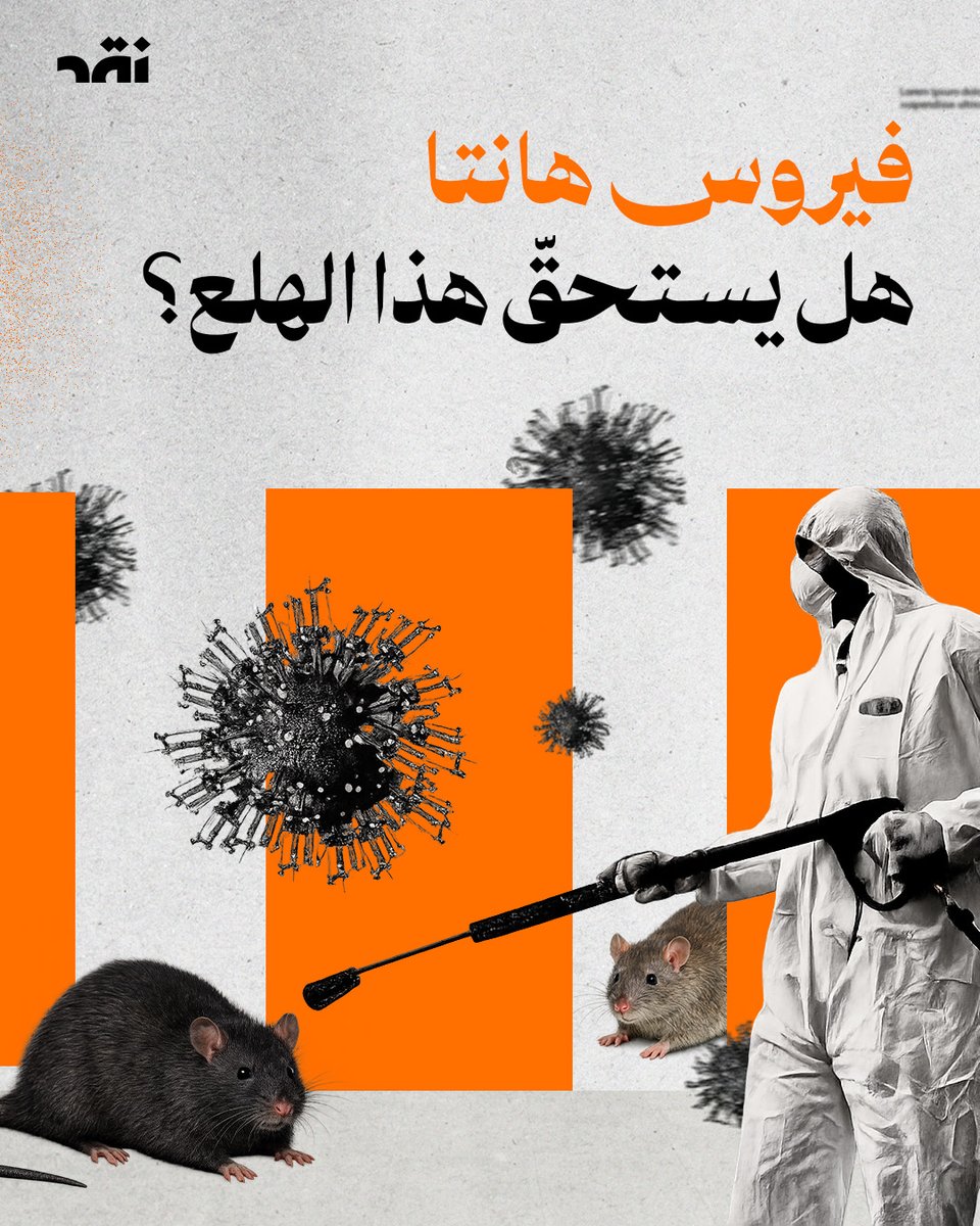 Naqd | نقِد tweet media