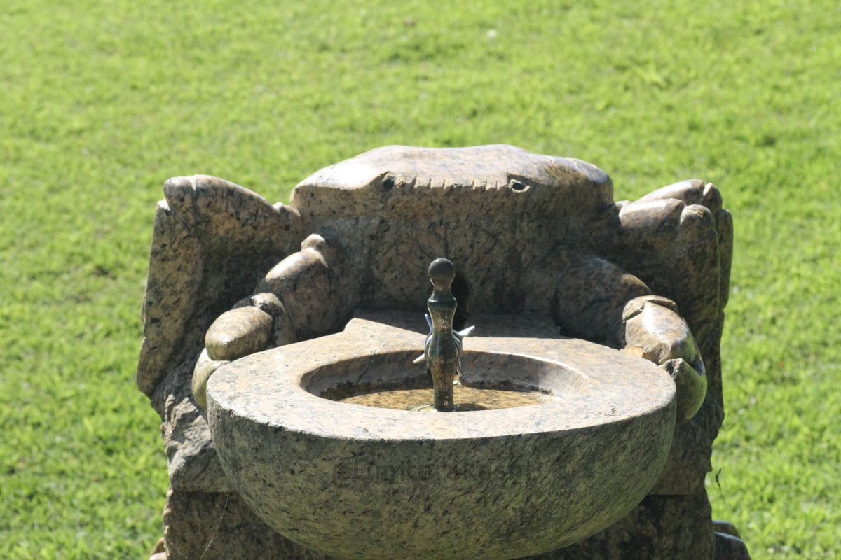 Omitarakashi's tweet photo. 某干潟公園にあったカニの水飲み場
額歯と前側縁から同定可能(？) https://t.co/CVuMU0wpyV