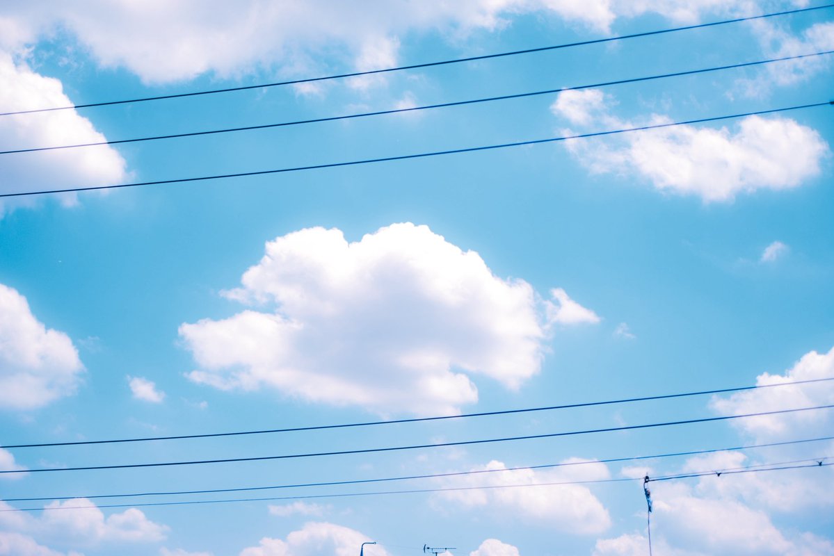 白夢 ゆい/yi‎𓂃 𓈒𓏸❁* tweet media