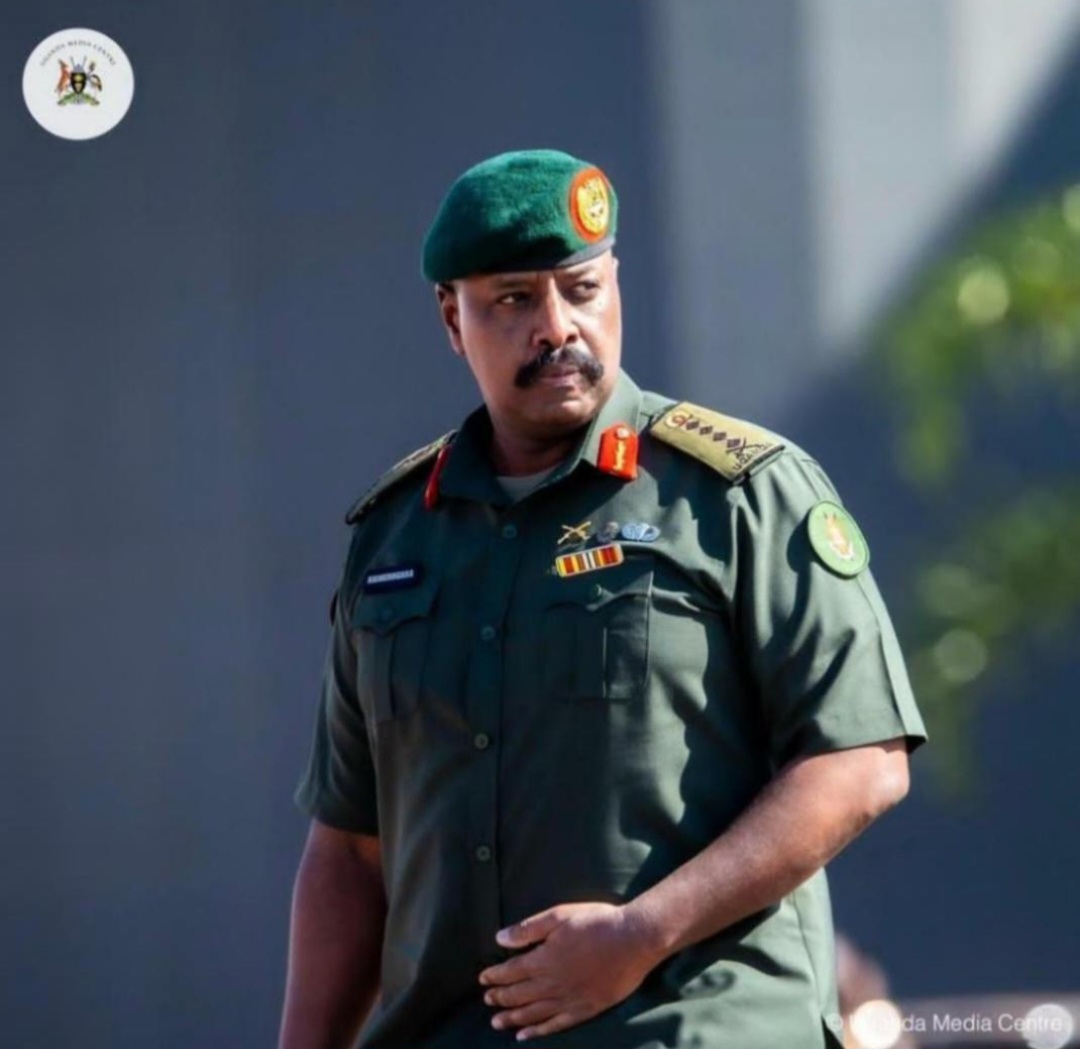 VJ Junior De Incredible tweet media