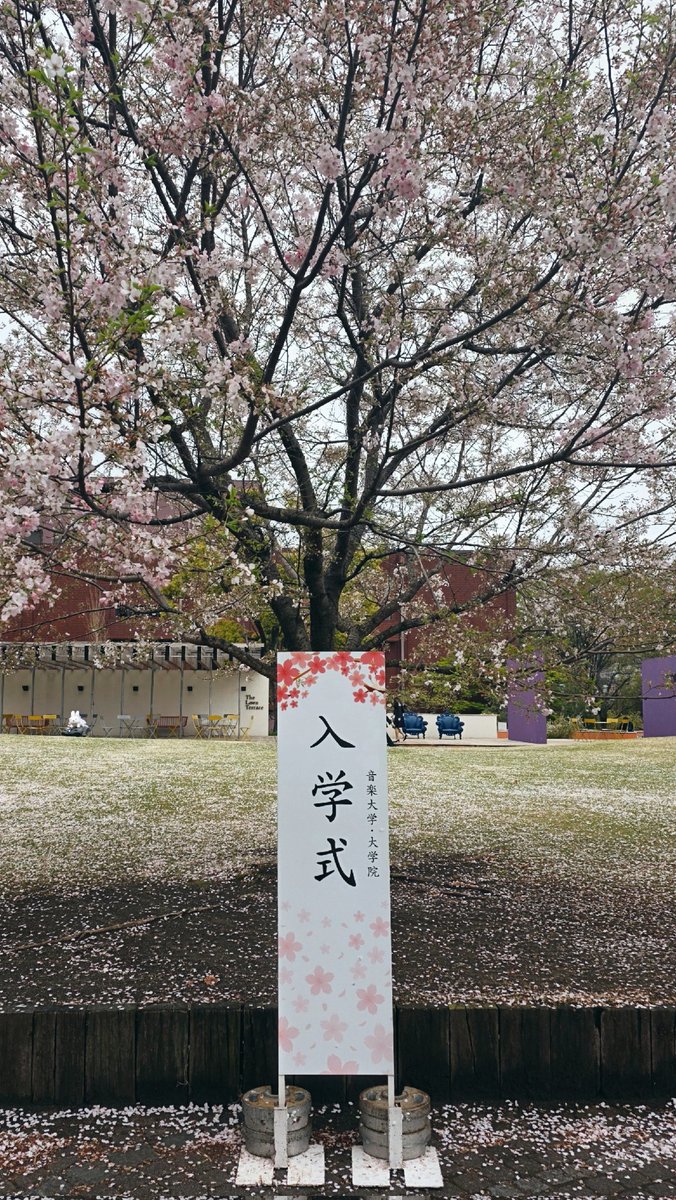 icepick0314's tweet photo. 春も過ぎて今さら言うのも遅いかもしれないですが先月大学院に入学できました、、！
憧れだった音大生にやっと大学院という形でなれました。 https://t.co/IZZBa0hQ9h
