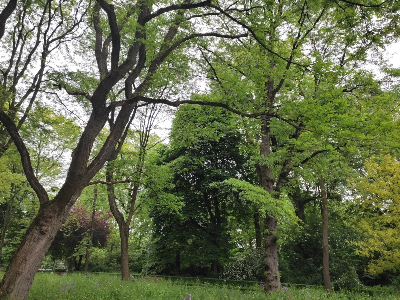 neocyclopi's tweet photo. One @The_Life_Bomb🌱 #Walk More
⚡️45 Energies #M2E🚶🏃
🪙 Daily Earnings: 513.62 $CATKN 🐝
✅ Guardian Bonus Enabled
🚶 > 7km for #ProgressOfTheWeek & #SeasonPass Weekly Challenge
#TLBLover❤️ #SOL https://t.co/XXD8bM1stR