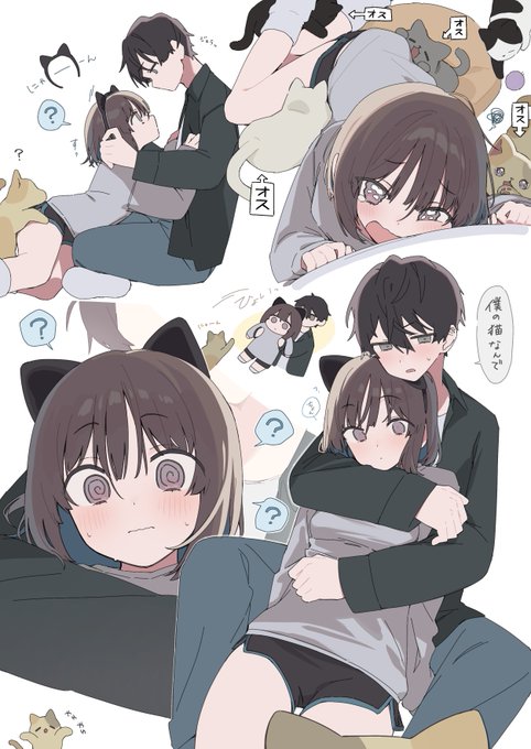猫「今日だけは譲ってやるにゃん」 