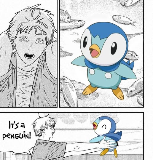 Pokémon Daily Post💫 tweet media