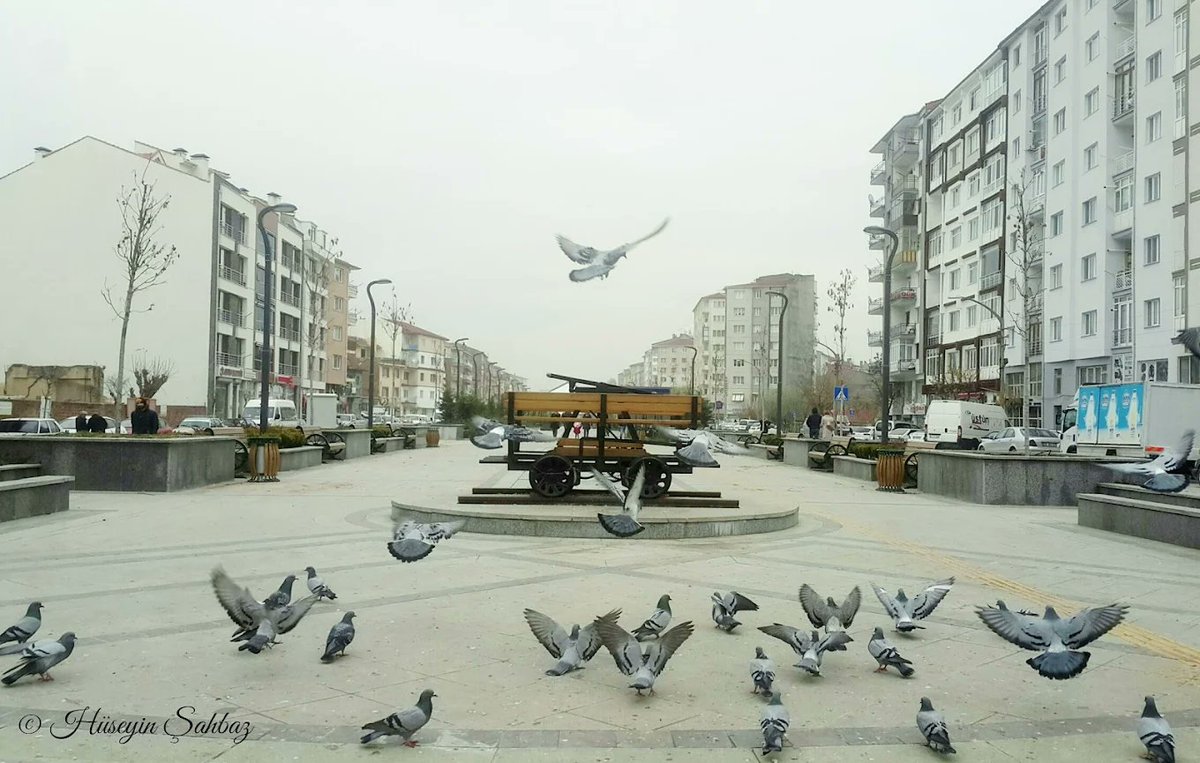 Ali Baş tweet media