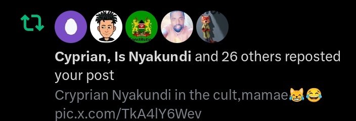 Musila™ tweet media