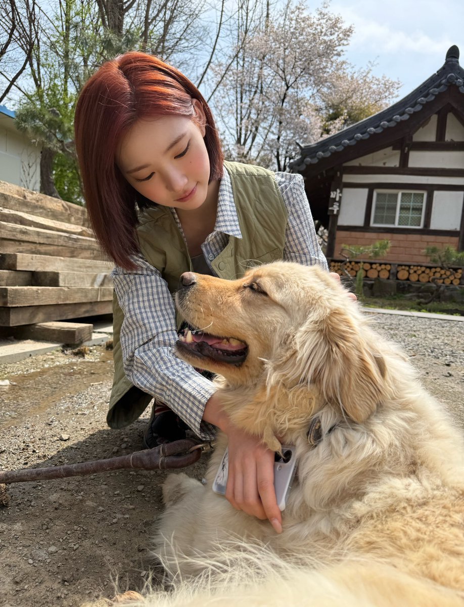 jiwoo tweet media