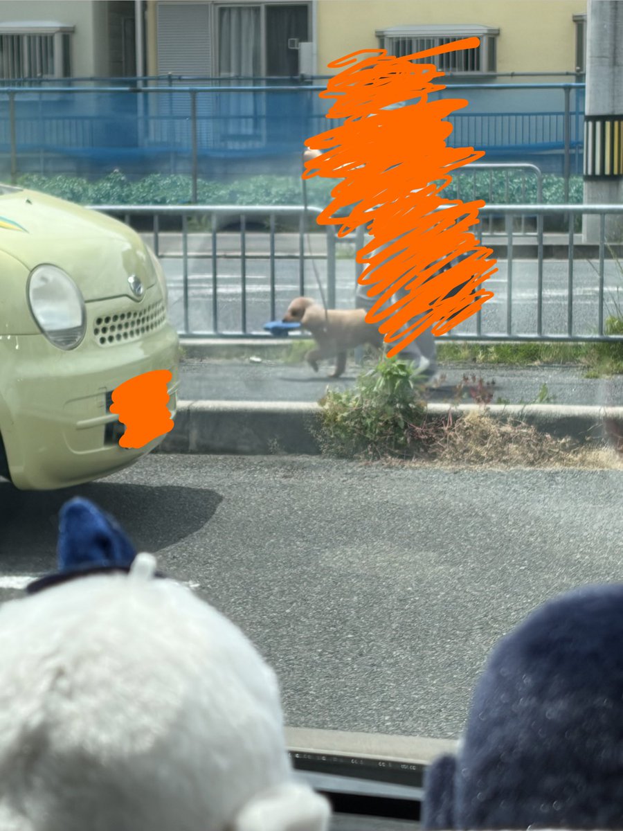 ほしみ tweet media