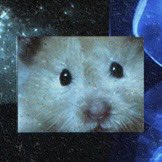 𝓑 — ౨ৎ‧₊˚ tweet media