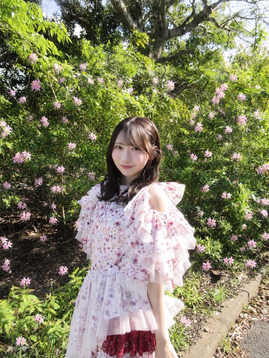 日向坂46 tweet media