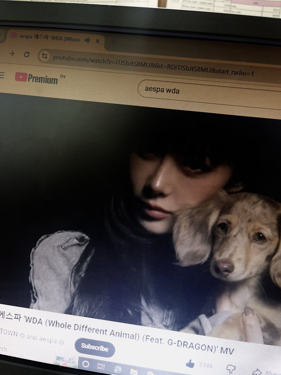 🧸🍋littleboyreturn tweet media