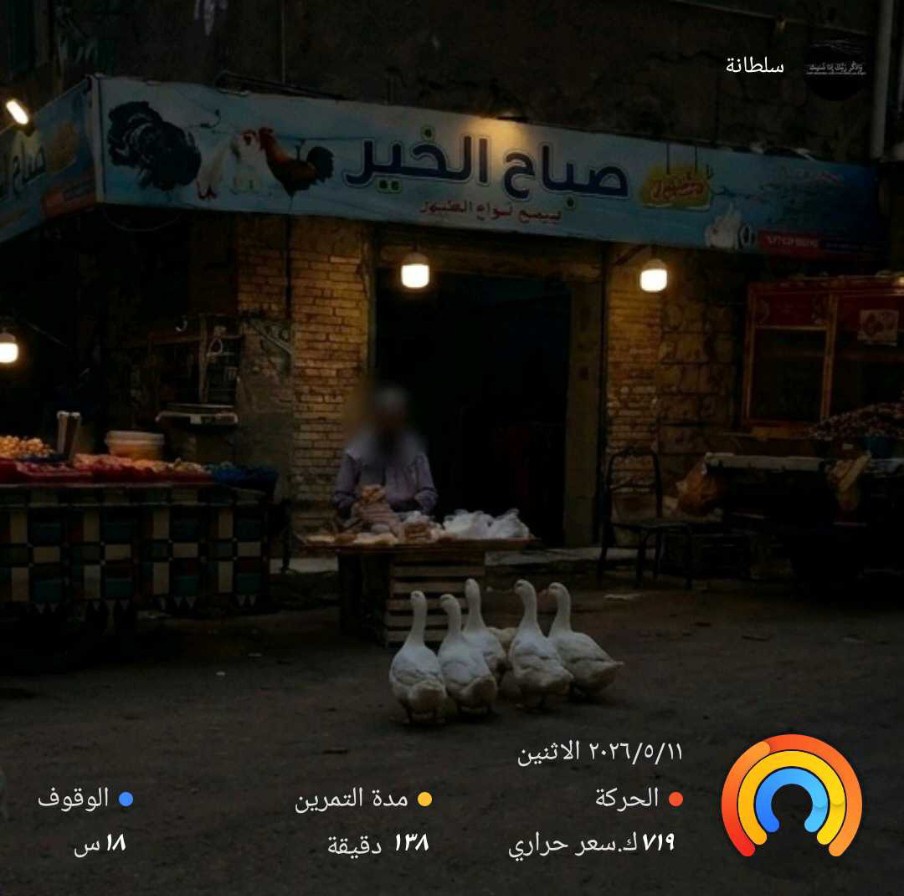 سلطانة tweet media