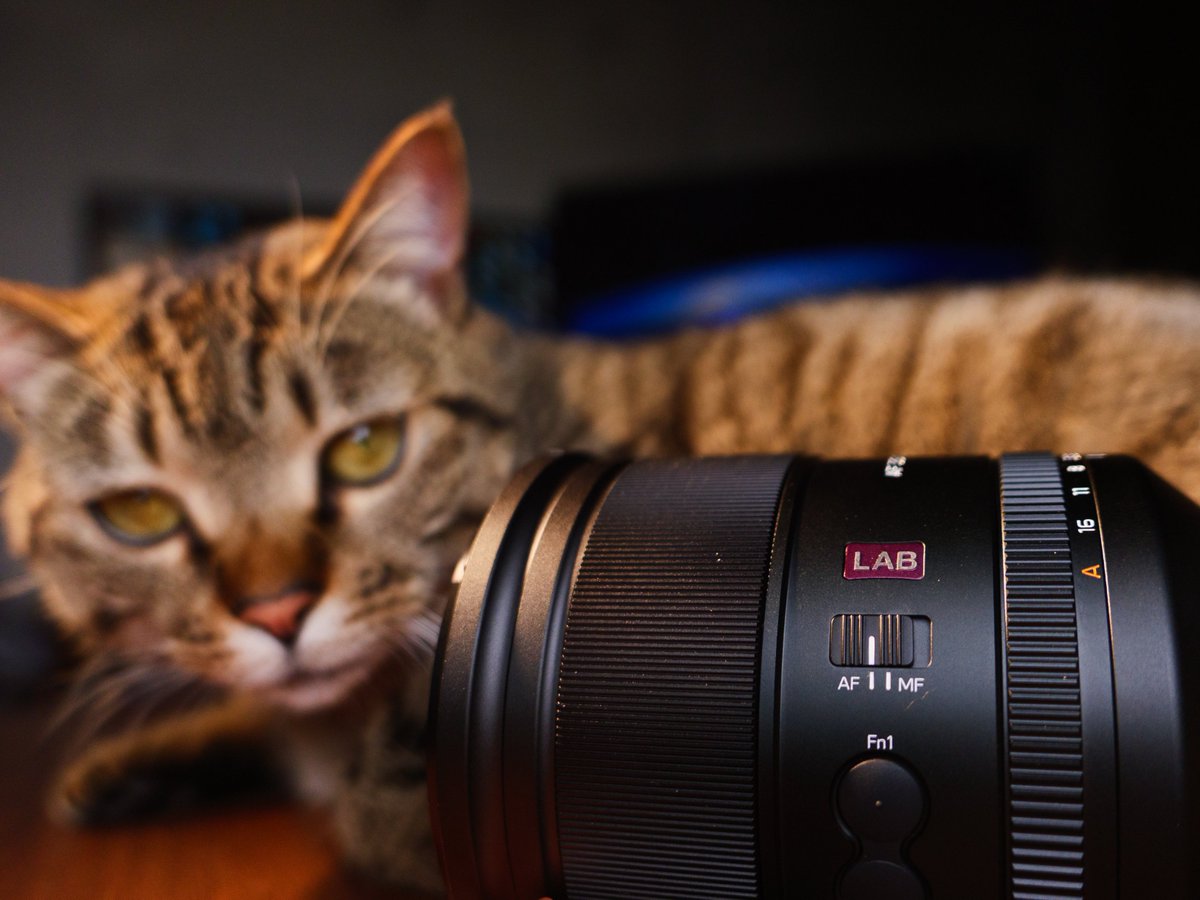 ViltroxOfficial's tweet photo. AF 35mm F1.2 LAB N FE keeps performance reduced to its most basic form while bringing precise adjustments and tactile, confident clicks.
Credit to @ζΌζΌε°η₯δ»
#viltrox #viltrox35mmf12 #Viltrox35LAB #ExploreBeyond #newproduct #sonyalpha #sonyphotography #cameragear #photography https://t.co/SQsQ3MuZH5