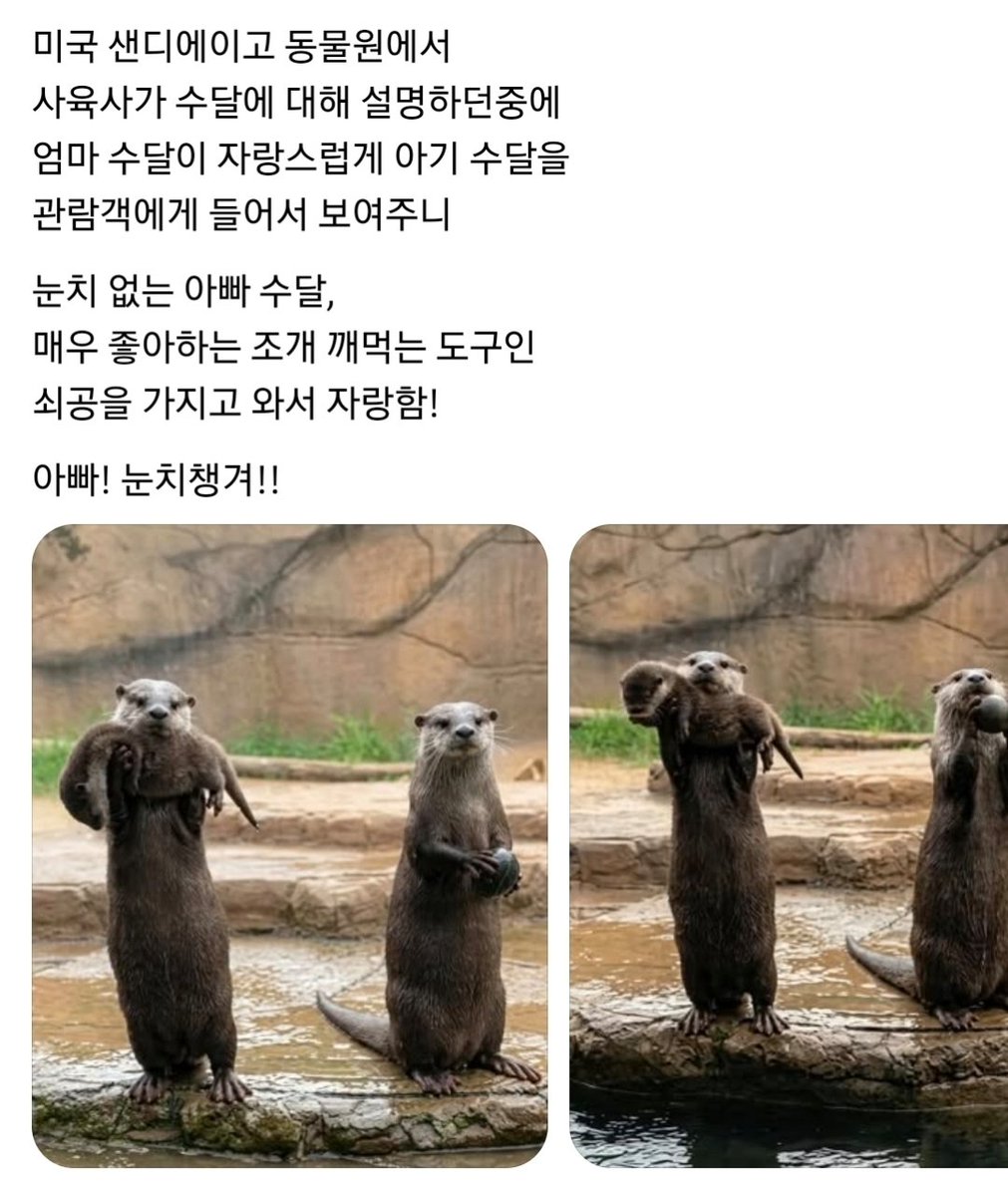햇달 tweet media