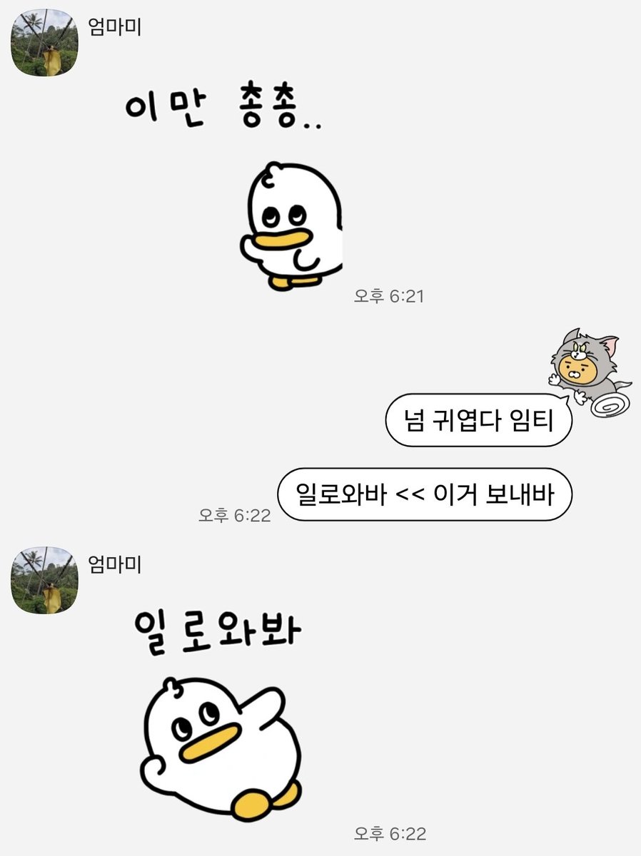침대조아 tweet media